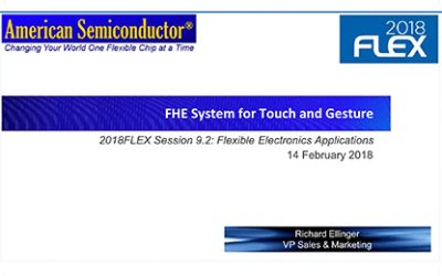 FHE System for Touch and Gesture